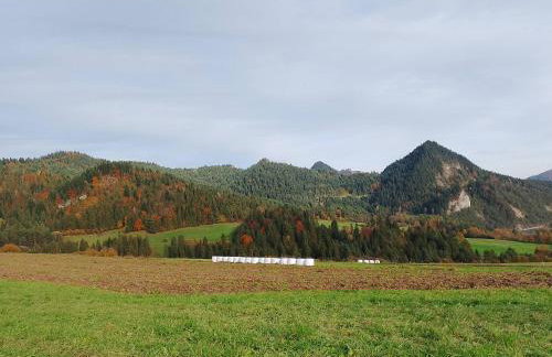 Agroturystyka Pod Zamczyskiem - Photo 28