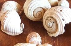 Beach House Into the Green! - Foto 21