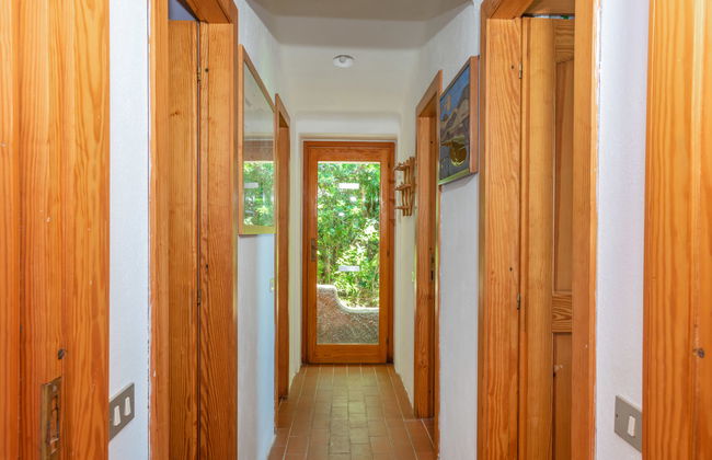 Maximilian - Foto 12