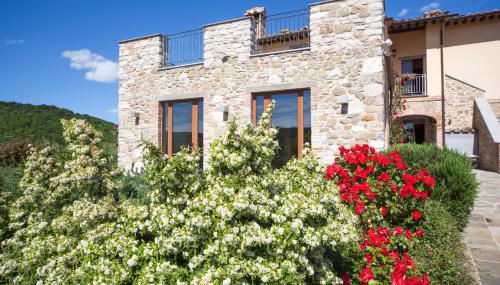 Agriturismo Villa La Maesta - Photo 5, Garden