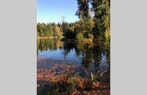 Lullaby House - Large, full comfort 5 star chalet house in the Vosges - Foto 36