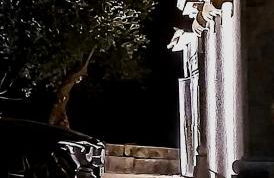 Exclusive Pena Rio - Foto 35