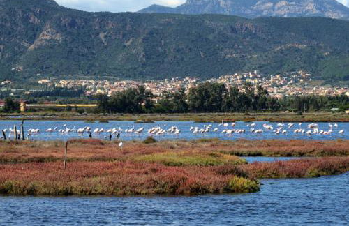 Is candelaus - Foto 27