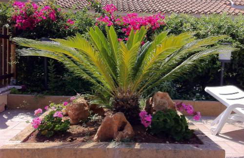 Residence I Faraglioni - Foto 43