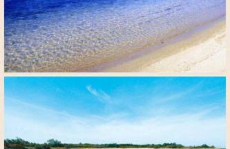 The Lux Beach Apartments - Foto 10