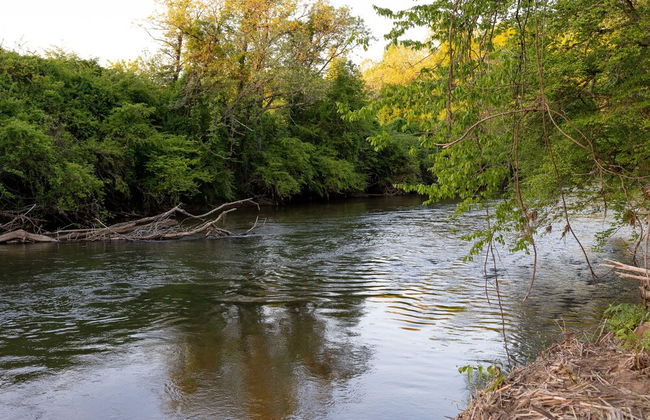 Creekside Fern in Pisgah Forest - Foto 31