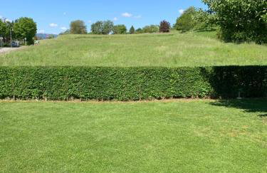 Die Panorama-Wohnung-im-Grünem - Foto 29