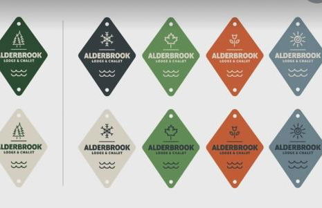 Chalet on Private Alderbrook Lake - Foto 45