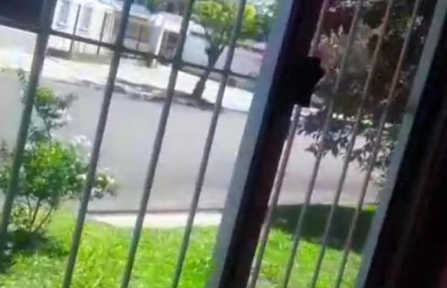 Módulo Monoambiente - Foto 8