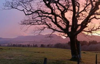 299 Willow Lodge - Foto 62