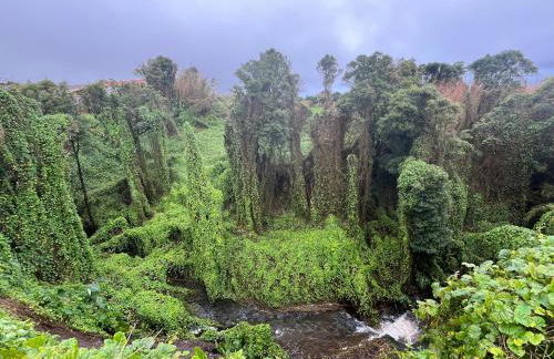 CASITA DA DOCTORA - Foto 7