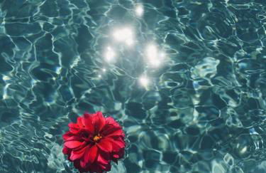 Le Temps d'un Rêve - Foto 18