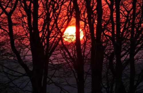 Bramble Cottage on the edge of Exmoor - Foto 33