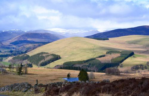 St Louan's - Foto 18