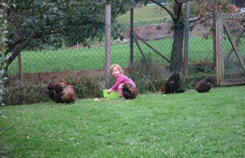 Ferienhof Landhaus Michael - Foto 63