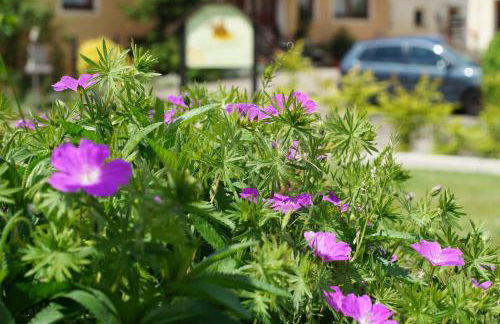 Ferienhof Barthel - Foto 54