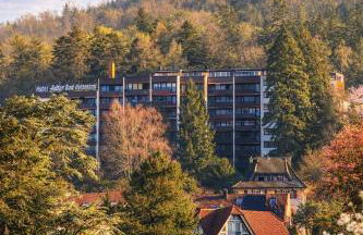 Black Forest Panorama Loft mit Pool - Foto 2