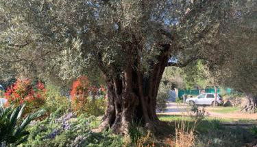 Tranquilité - Foto 5