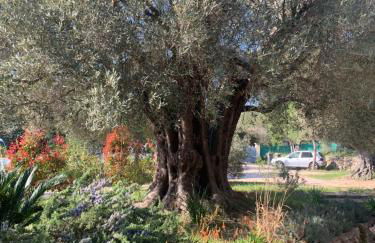 Tranquilité - Foto 5