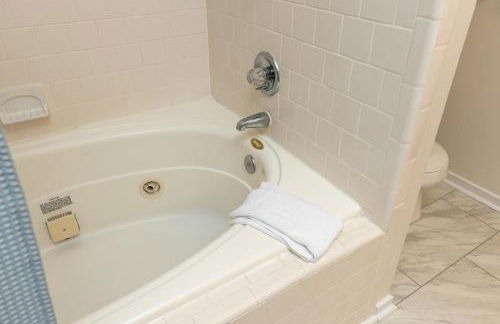 Nancy's Edelweiss with Wintergreen Advantage - Foto 30