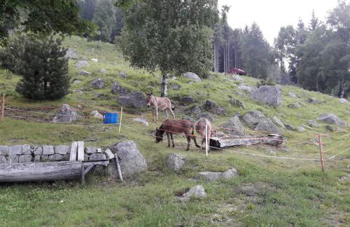 Baita Martin da Fist - Foto 25