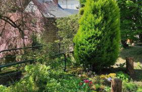 Gîte authentique près Zoo de Beauval et Châteaux - Photo 12