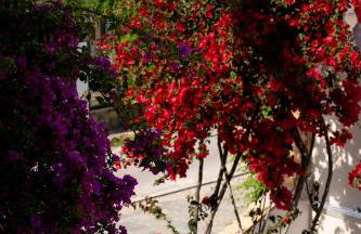 Asteri Studios - Photo 40