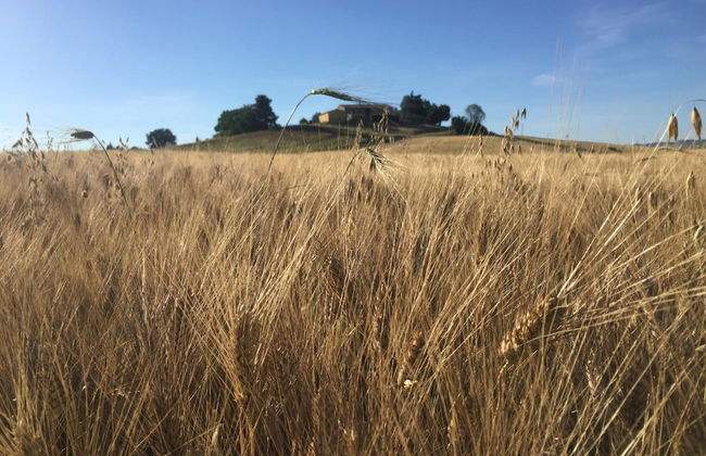 Poggio alla Pietra 26 - Foto 52