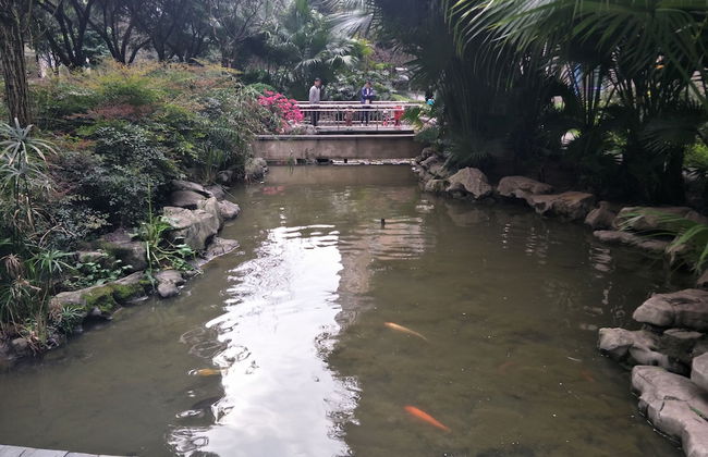 Cozy Apartment - Foto 23