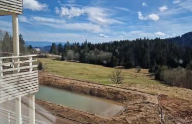 Appartements Les Vosges - Foto 64