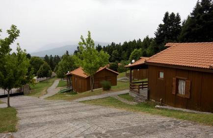 Livadaki Village - Δασικό Χωριό Λιβαδάκι - Foto 66