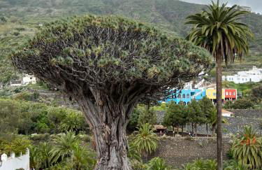 My Ocean - Cliff & Ocean View - Foto 39