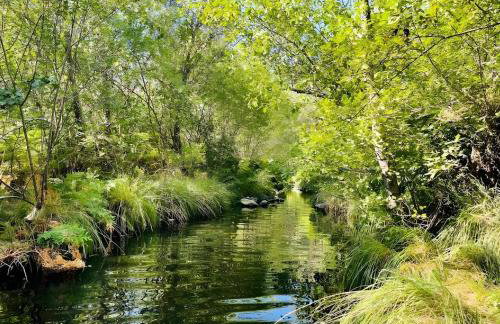 Apartamento Rural Mi Pequeña Lulú TR-CC-00564 - Foto 24