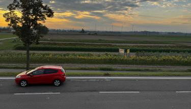 Frankenthal - Foto 3