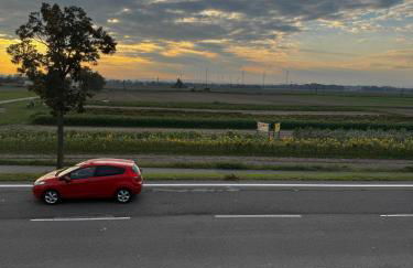 Frankenthal - Foto 3