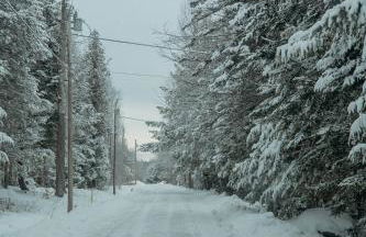 The Quiet Piper near Piper Pond, Trails, Fireplace - Foto 11