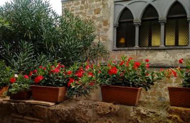 Il Vento e la Ginestra - Foto 53