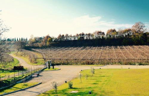 Azienda Agricola Rovertondo - Foto 28