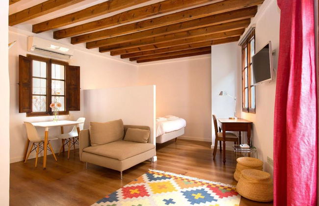 Canavall - Photo 119