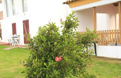 Santana Houses - Photo 46