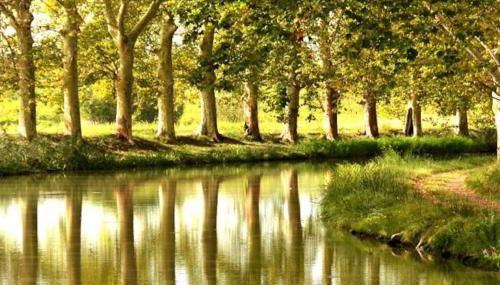 MAS DES VIGNES - View Cité de Carcassonne - Foto 5
