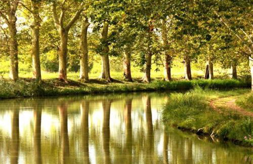 MAS DES VIGNES - View Cité de Carcassonne - Foto 5