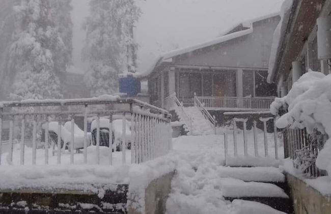 Blue Pine Retreat - Photo 21