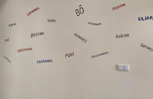 APOLINÁRIO - Foto 12