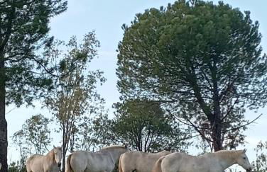 La Casa del Paseo - Foto 37