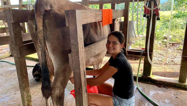 Cheese & Yoghurt Workshop in Puerto Inca - Foto 4