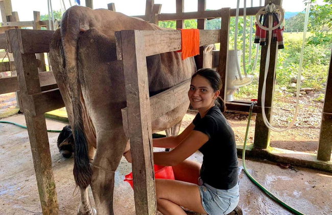 Cheese & Yoghurt Workshop in Puerto Inca - Foto 4