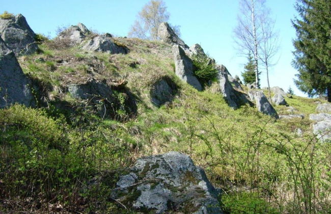 Apartment in Eslarn With Nearby Lake - Foto 24