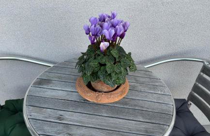 Smart living - Foto 14