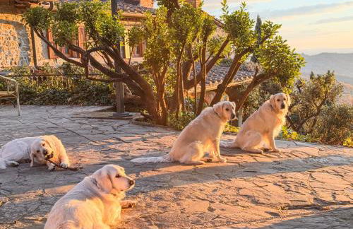 La Villa ARTE del Lupo-Two Birds - Foto 41